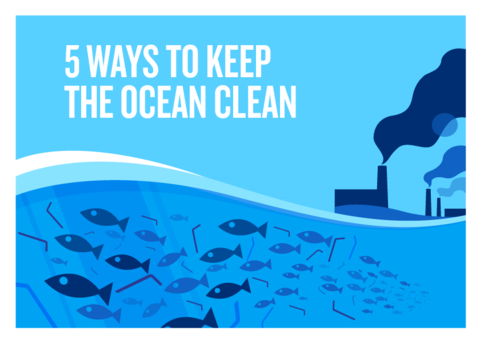 Five Ways to Keep The Ocean Clean